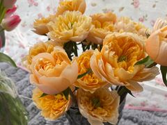-双季花艺园艺市场(浦东店)