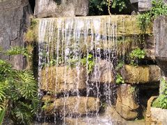 -广州神农草堂中医药博物馆