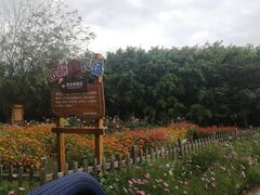 -亚龙湾国际玫瑰谷
