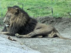 -北京野生动物园