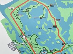 -盐城丹顶鹤湿地生态旅游区