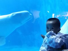 -多彩贵州城极地海洋世界