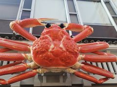 -蟹道乐(道顿堀本店)