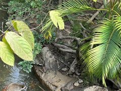 -长鹿旅游休博园