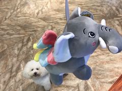 -万达广场(东莞厚街店)