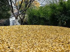 -苏州文庙(姑苏区)