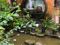 -园林美食城·本土农家菜(杨和镇店)