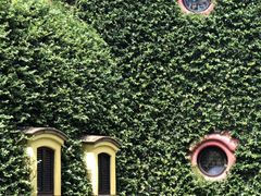 -三鹰之森吉卜力美术馆