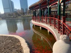 -西海子公园