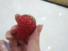 -盒马鲜生(联投广场店)