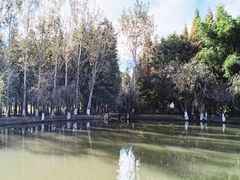 -捞渔河湿地公园