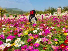 -玫瑰海岸文化旅游度假区