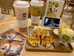 -喵的天空名猫咖啡馆·撸猫·猫舍·用品