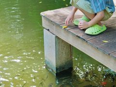 -福建鲤鱼洲酒店