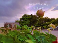 -广州莲花山旅游区