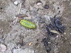 -碓臼峪自然风景区