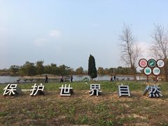 -盐城丹顶鹤湿地生态旅游区