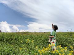 -玉舍国家森林公园