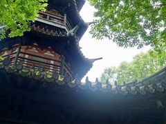 -上海佘山国家森林公园西佘山园