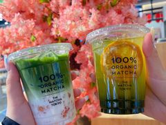 -THE MATCHA TOKYO抹茶东京