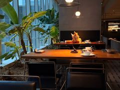 -CHIC1699远洋私厨