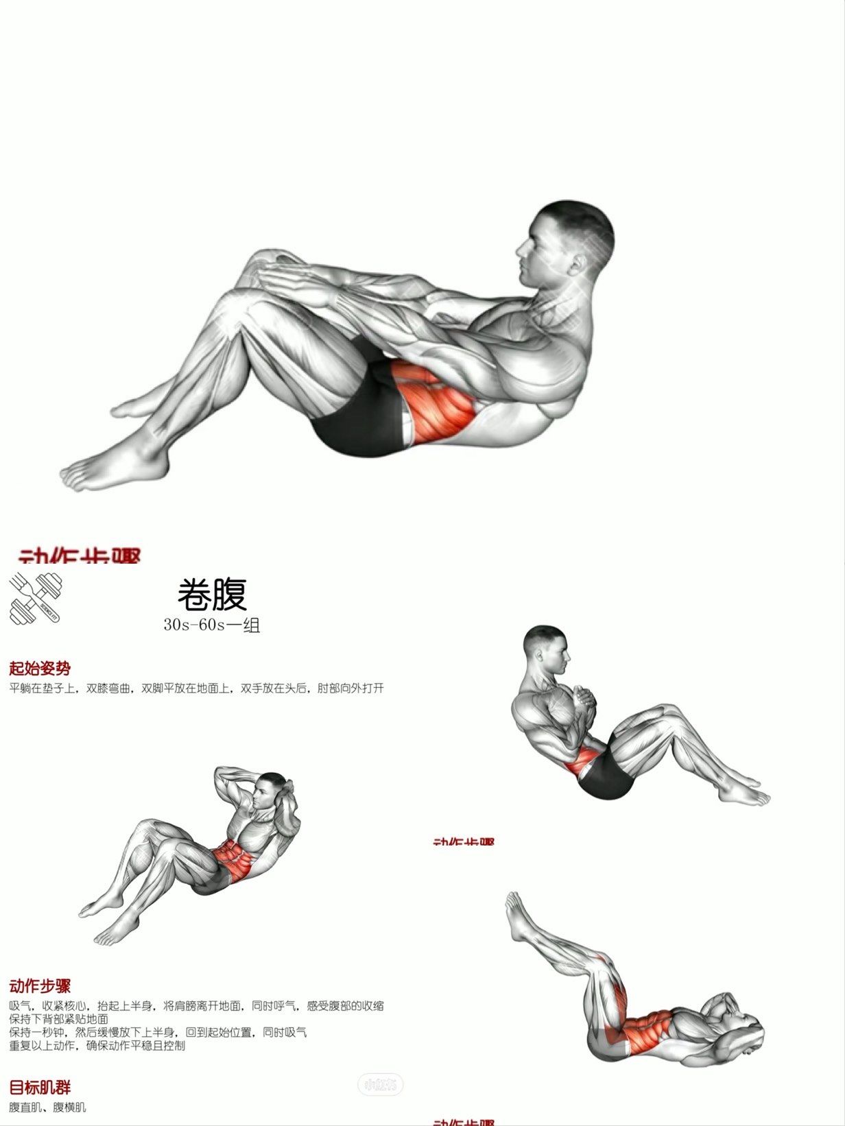 腰腹训练练起来