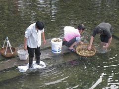 -宁波溪口古镇-民国大杂院