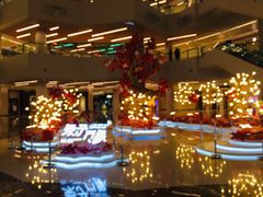 -羲和雅苑•北京烤鸭(乐园道万象城店)