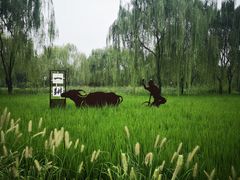 -北坞公园