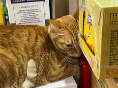-玉华饮食店(茅台路店)