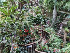 -正佳雨林生态植物园