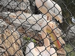 -石家庄市动物园