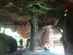 -新加坡水上探险乐园