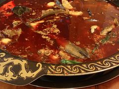黄辣丁-三道苗苗鱼·美蛙黄辣丁(八里店)