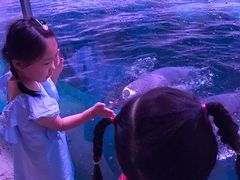 -暹罗海洋世界