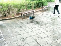 -昆明动物园