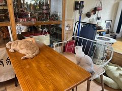 -小时光咖啡馆(开森度假森林店)