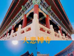 -天津大悲禅院