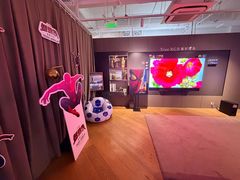 -Sony Store 索尼(上海淮海中路店)