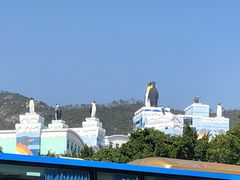 -帝企鹅自助餐厅•儿童岛•真企鹅(长隆企鹅酒店)