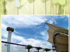 -大信·云顶星河游乐王国