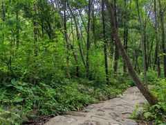 -陕西省红河谷森林公园