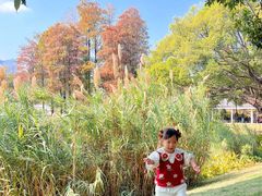 -四海公园(南山区)