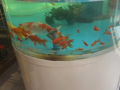 -辣得叫湘菜(四明店)