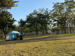 -顺峰山公园