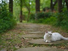 -白鹭湾湿地公园