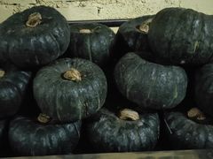 -森波拉火山温泉