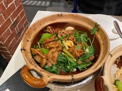 肥肠煲-煲煲好(朝阳门店)