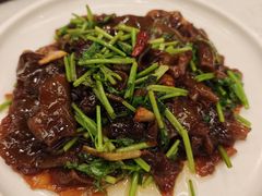 香菜炒粉皮-庐州太太(南七里店)