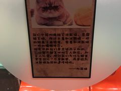 -猫咪博物馆(顶澳仔猫街店)